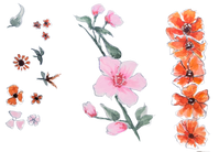 flowers
